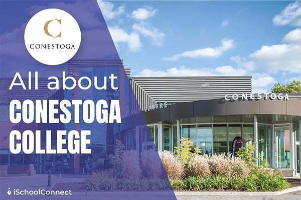 What International Students Should Know About Conestoga College's Tuition Fees